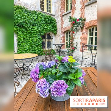 Château de Farcheville, les photos