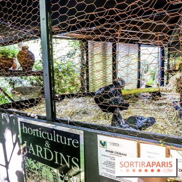 Jardins Jardin 2018, les photos