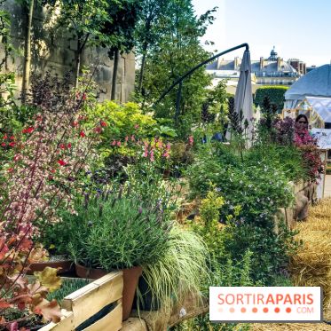 Jardins Jardin 2018, les photos