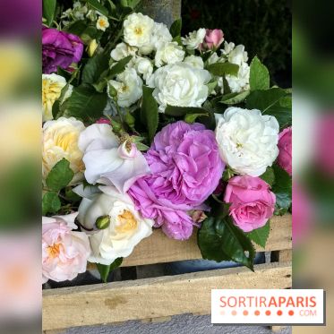 Jardins Jardin 2018, les photos