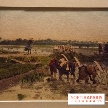 Terres de riz, l'exposition au musée Guimet