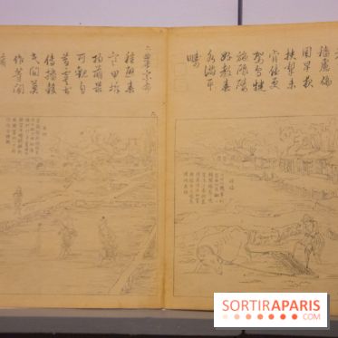 Terres de riz, l'exposition au musée Guimet