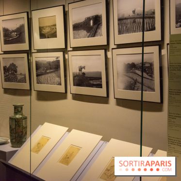 Terres de riz, l'exposition au musée Guimet