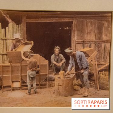 Terres de riz, l'exposition au musée Guimet