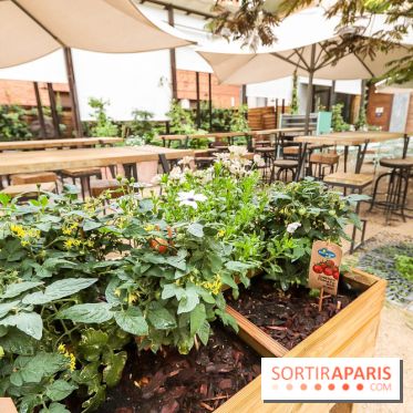 Les Belles Plantes restaurant-café