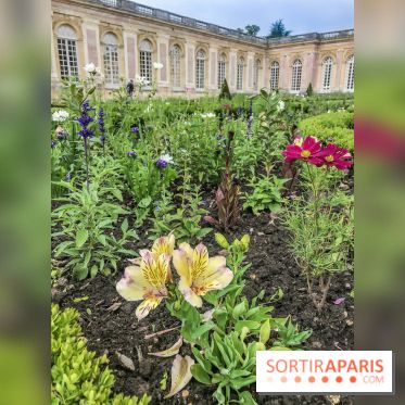 Jean Cotelle, l'exposition au Grand Trianon de Versailles