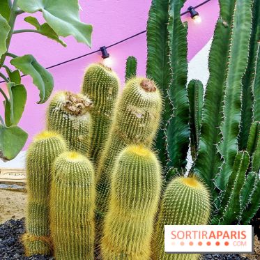 Le Jardin Suspendu à Paris