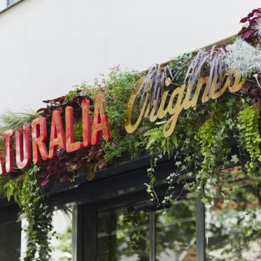 Origines : le premier magasin parisien dédié aux médecines douces