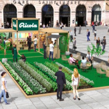 Le Champ de plantes by Ricola à Saint Lazare 