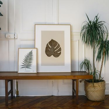 Herbarium ouvre une boutique éphémère au Carrousel du Louvre