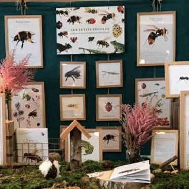 Idées Cadeaux de Noël 2020 : les livres et illustrations pour enfants des Petits Zécolos