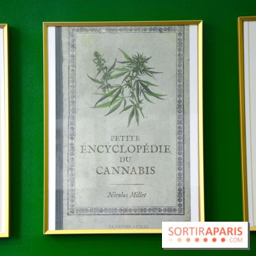 BlueDreamLab le spécialiste de la vente de cannabis CBD