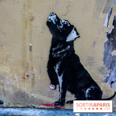 Banksy à Paris, les œuvres en photos