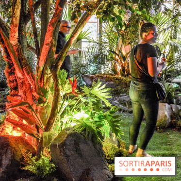 La Villa Extraordinaire, les photos 