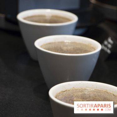 Initiation "autour du café" chez Comptoirs Richard : les photos