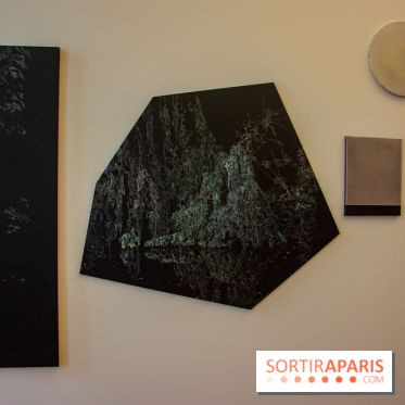 FUKAMI, l'exposition à l'hôtel Salomon de Rothschield