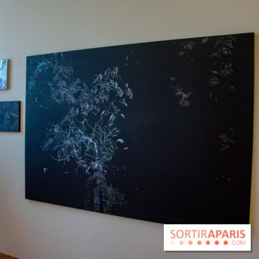 FUKAMI, l'exposition à l'hôtel Salomon de Rothschield