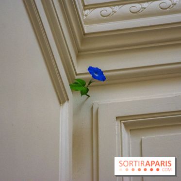 FUKAMI, l'exposition à l'hôtel Salomon de Rothschield