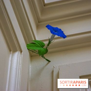 FUKAMI, l'exposition à l'hôtel Salomon de Rothschield