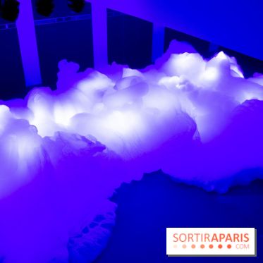 FUKAMI, l'exposition à l'hôtel Salomon de Rothschield