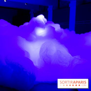 FUKAMI, l'exposition à l'hôtel Salomon de Rothschield