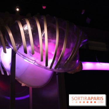 Dinosaure, la vie en grand au Muséum