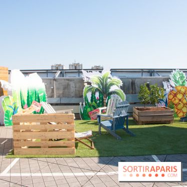 DOMUS se lance dans la production de miel