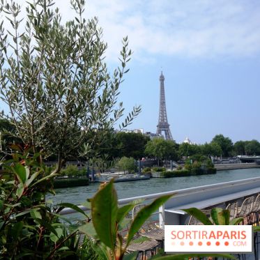 Brunch et croisière offerte sur La Seine avec les Bateaux Mouches