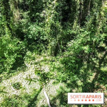 AccroCamp, l'accrobranche des Boucles de Seine