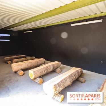 AccroCamp, l'accrobranche des Boucles de Seine