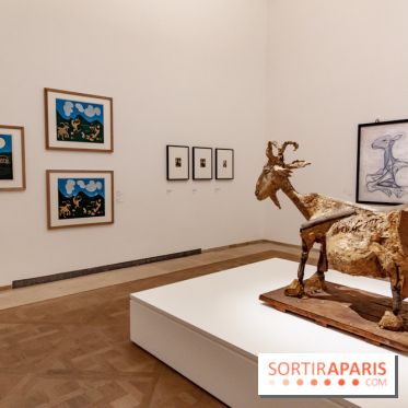 Les chefs d'œuvre de Picasso au Musée Picasso, photos