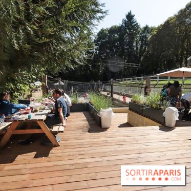 Accrocamp, l'accrobranche de Rueil