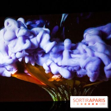 Colours X Colours, l'installation immersive à l'Atelier des Lumières