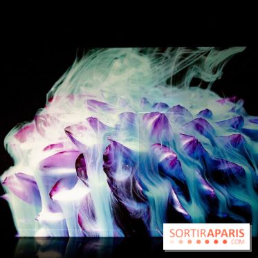 Colours X Colours, l'installation immersive à l'Atelier des Lumières