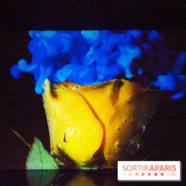 Colours X Colours, l'installation immersive à l'Atelier des Lumières