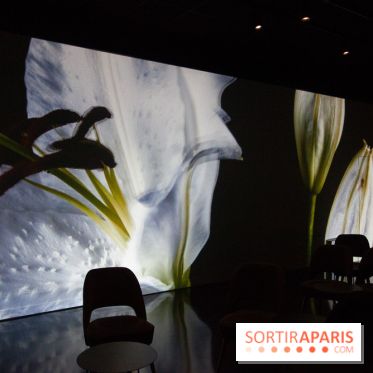 Colours X Colours, l'installation immersive à l'Atelier des Lumières