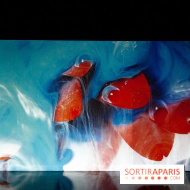 Colours X Colours, l'installation immersive à l'Atelier des Lumières