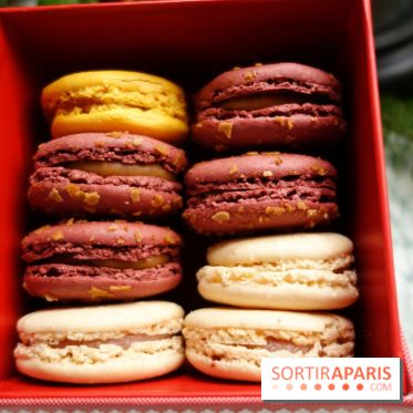 Bûche de Noël 2018 pour Ladurée