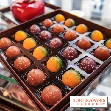 Les Bûches et collection de Noël de la Maison Caffet 2018, les photos