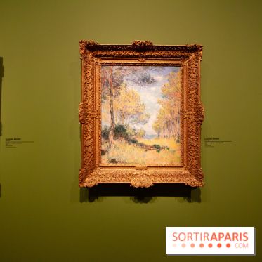 Collections privées, l'exposition à Marmottan-Monet