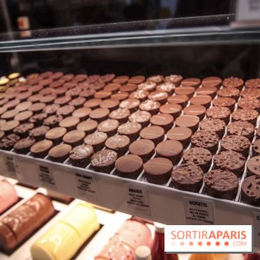 Les Bûches et créations de Noël et fêtes de Christophe Michalak 2018