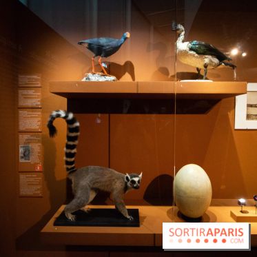 Exposition Madagascar au musée du Quai Branly 