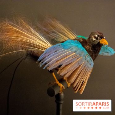 Eblouissante Venise, l'exposition au Grand Palais