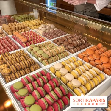 Pierre Hermé : Bûches, galette et créations de Noël 2018