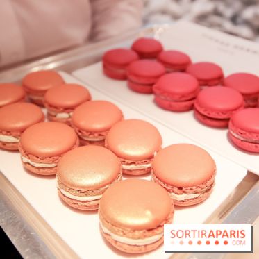 Pierre Hermé : Bûches, galette et créations de Noël 2018