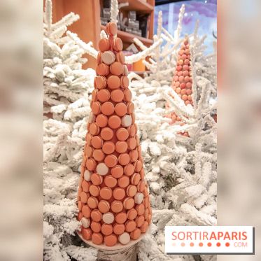 Pierre Hermé : Bûches, galette et créations de Noël 2018