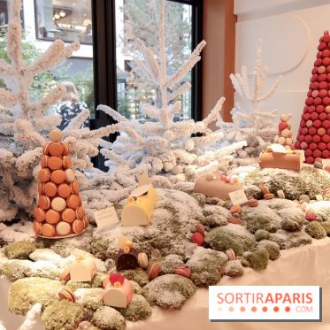 Pierre Hermé : Bûches, galette et créations de Noël 2018