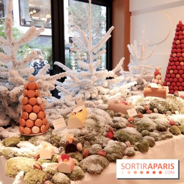 Pierre Hermé : Bûches, galette et créations de Noël 2018