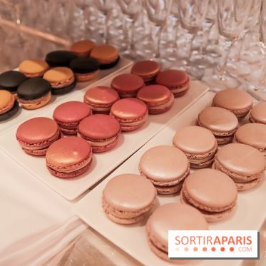 Pierre Hermé : Bûches, galette et créations de Noël 2018