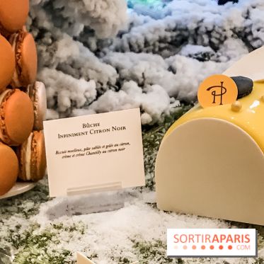 Pierre Hermé : Bûches, galette et créations de Noël 2018